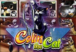 Colin the Cat