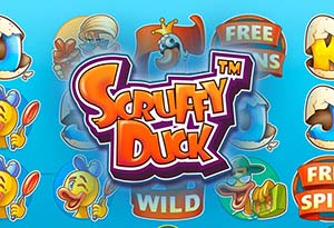Scruffy Duck