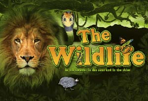 The Wildlife