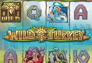 Wild Turkey